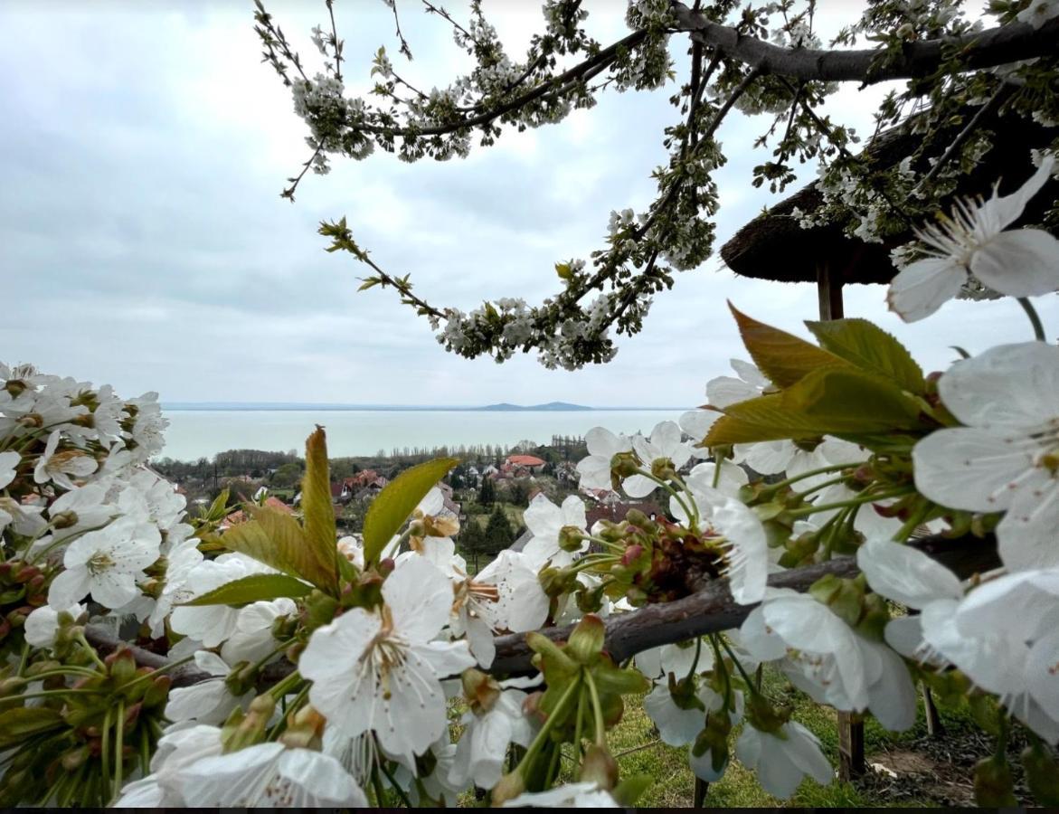 Panorama Apartmanhaz Badacsonytomaj Bagian luar foto